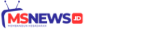 MSNews