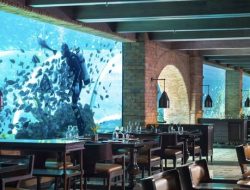 Kuliner Bali Lampaui Jakarta: Apa Rahasianya?