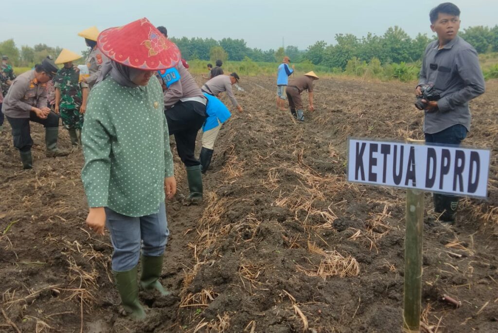 Ketahanan Pangan