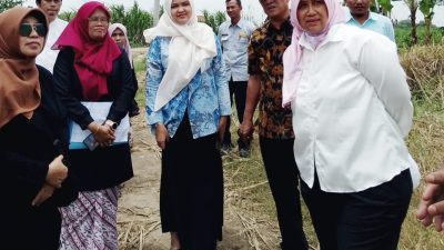 DPRD Kabupaten Cirebon Tinjau Empat Lokasi Pembangunan di Karangwareng
